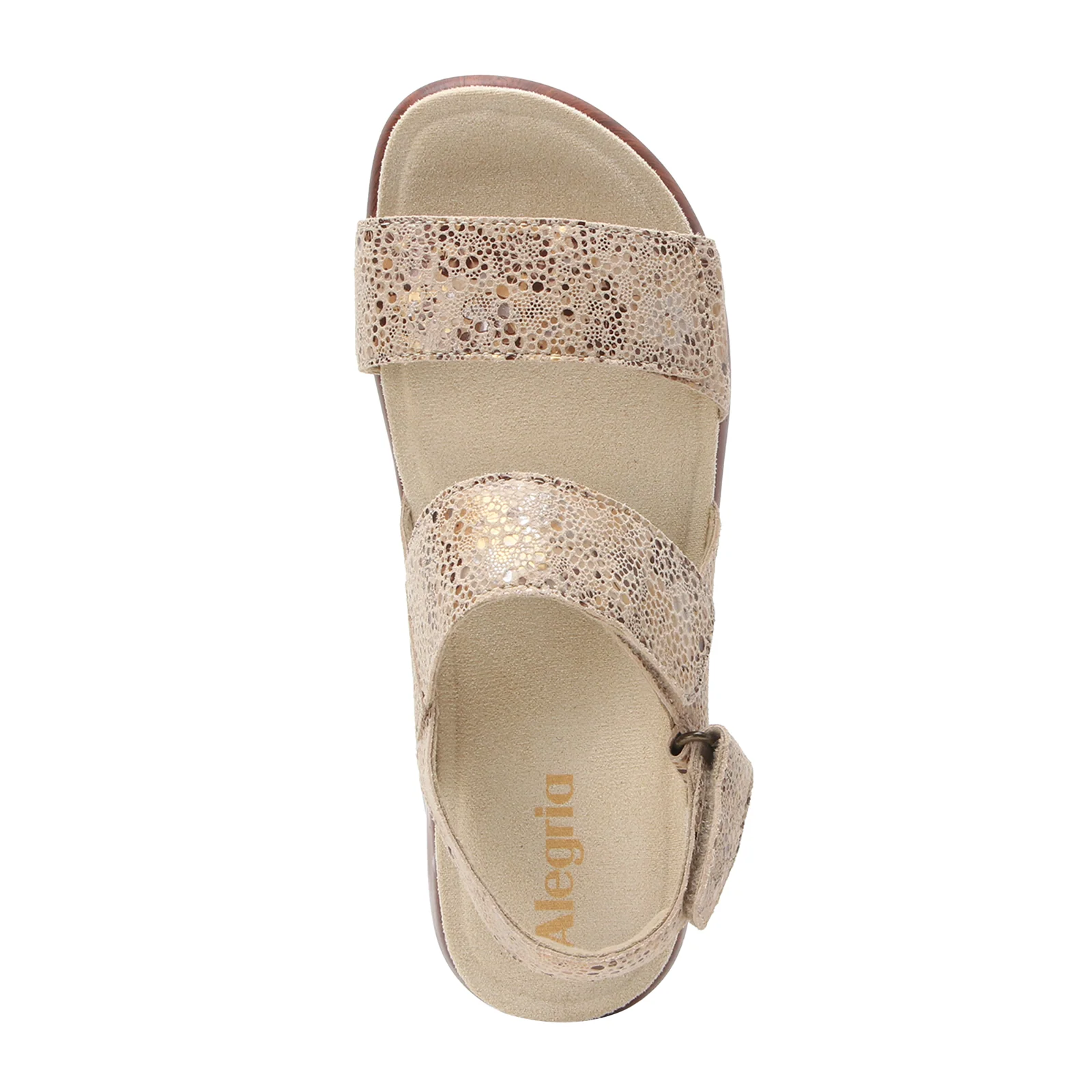 Alegria Bailee Backstrap Sandal (Women) - Walkaway - Image 3