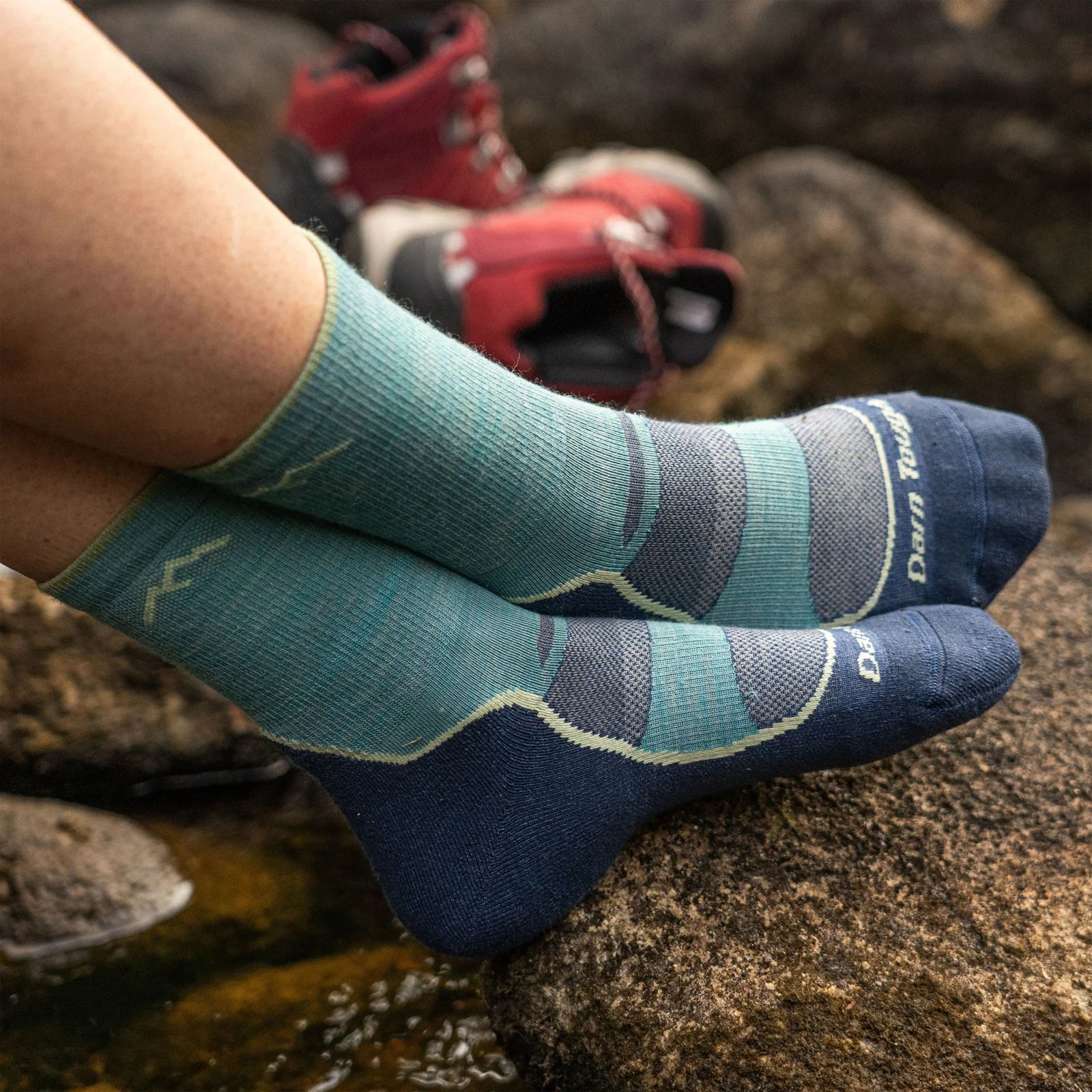 Darn Tough Light Hiker Lightweight Micro Crew Sock with Cushion (Women) - Aqua - Image 4